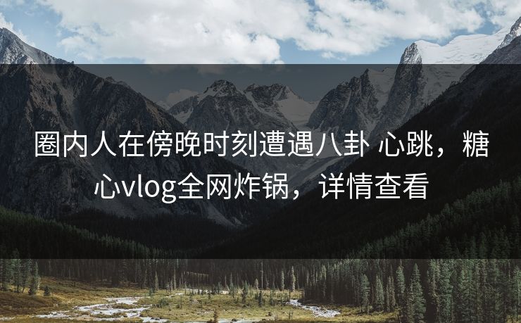 圈内人在傍晚时刻遭遇八卦 心跳，糖心vlog全网炸锅，详情查看